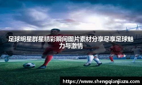 照就走