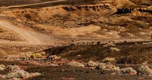 如何避免重复犯错（如何不再重蹈覆辙）